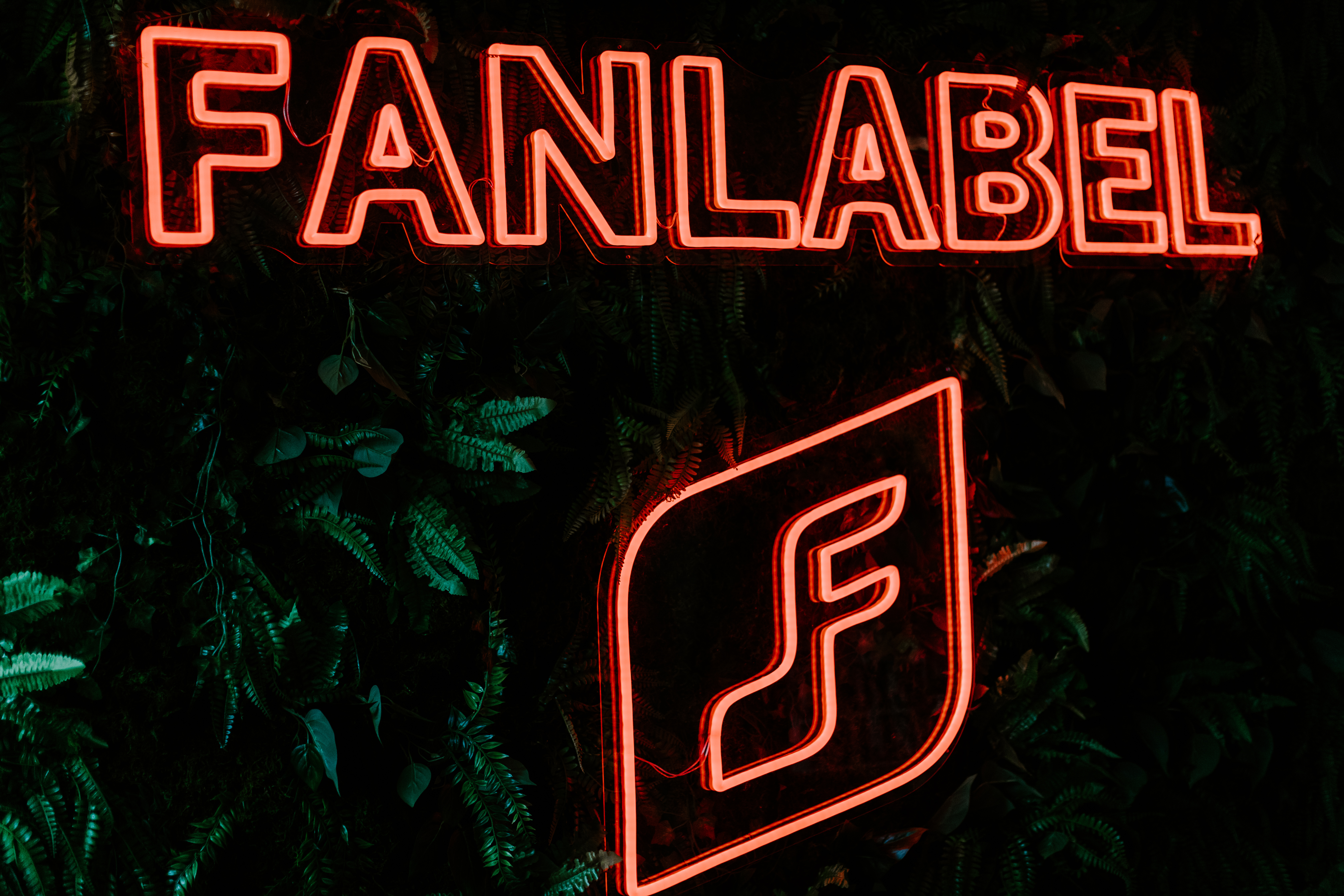 FanLabel Launch Party at CMA Fest 2019 (Video)